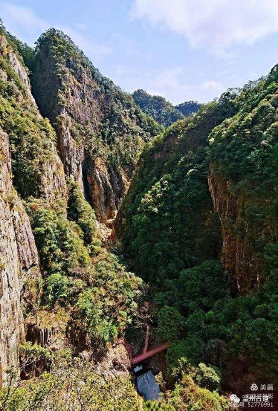 逃离太古森林